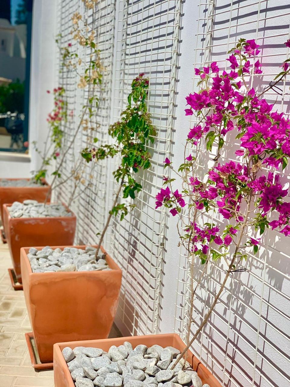 Casa Penina Ξενοδοχείο Alvor Εξωτερικό φωτογραφία